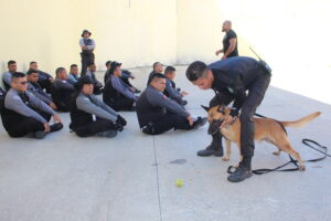 Imagem da notícia - Seap oferta Curso de ‘Condutores de Cães’ para agentes de ressocialização